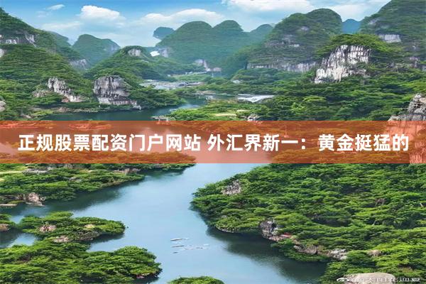 正规股票配资门户网站 外汇界新一：黄金挺猛的