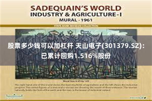 股票多少钱可以加杠杆 天山电子(301379.SZ)：已累计回购1.516%股份
