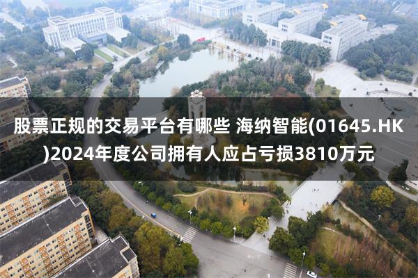 股票正规的交易平台有哪些 海纳智能(01645.HK)2024年度公司拥有人应占亏损3810万元