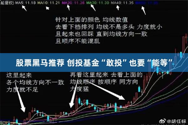 股票黑马推荐 创投基金“敢投”也要“能等”