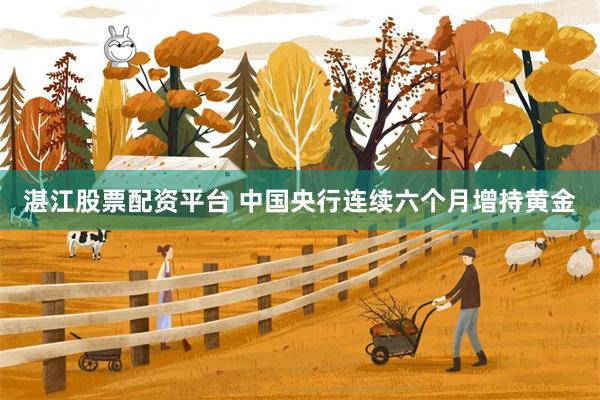 湛江股票配资平台 中国央行连续六个月增持黄金