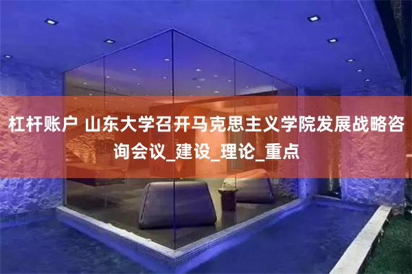 杠杆账户 山东大学召开马克思主义学院发展战略咨询会议_建设_理论_重点