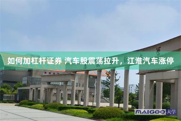 如何加杠杆证券 汽车股震荡拉升，江淮汽车涨停
