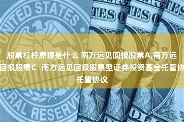 股票杠杆原理是什么 南方远见回报股票A,南方远见回报股票C: 南方远见回报股票型证券投资基金托管协议