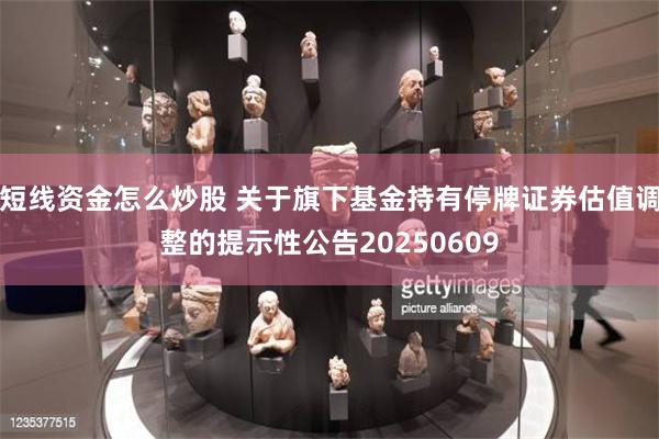 短线资金怎么炒股 关于旗下基金持有停牌证券估值调整的提示性公告20250609