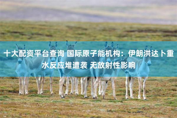 十大配资平台查询 国际原子能机构：伊朗洪达卜重水反应堆遭袭 无放射性影响